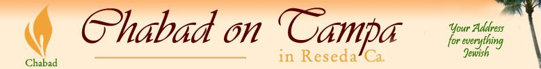 Chabad on Tampa